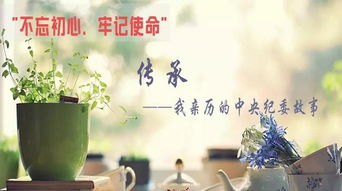 平原紀(jì)檢 執(zhí)紀(jì)問責(zé)非文藝創(chuàng)作，求真務(wù)實方顯擔(dān)當(dāng)