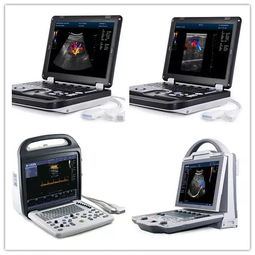 徐州凱信電子設備邀您共襄盛舉 2019第四屆江蘇畜牧業博覽會